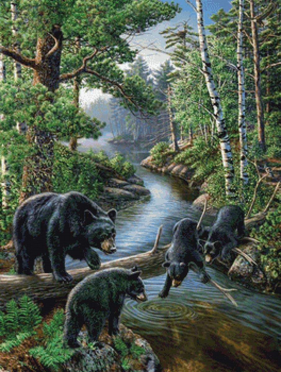 Мишки - речка, лес, сосны, медведи - предпросмотр
