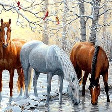 Лошади в зимнем лесу