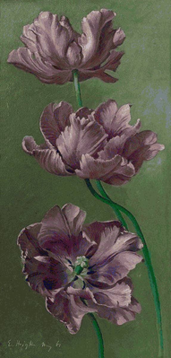 Цветы - предпросмотр