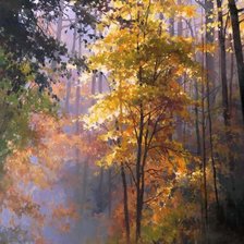 Схема вышивки «вечер»