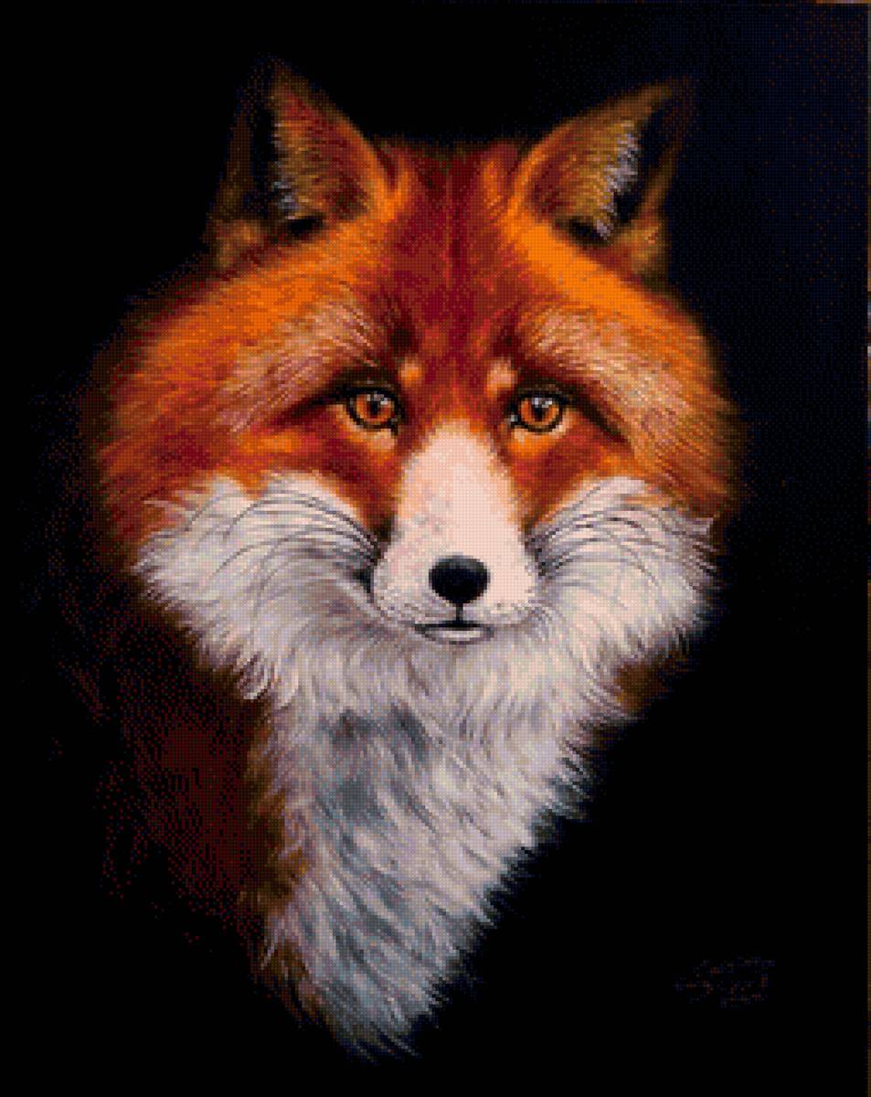 лиса - портрет - предпросмотр