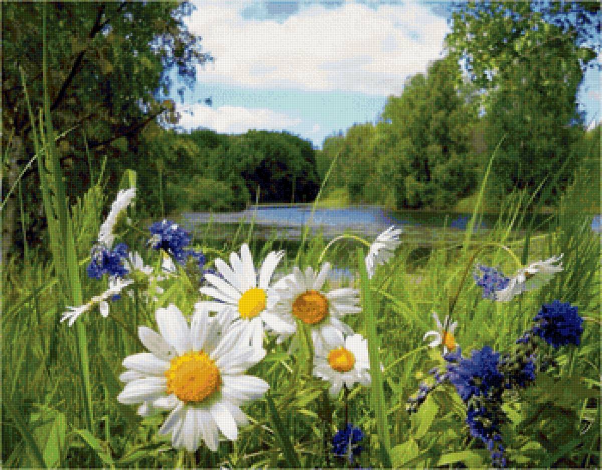 букет - букет - предпросмотр