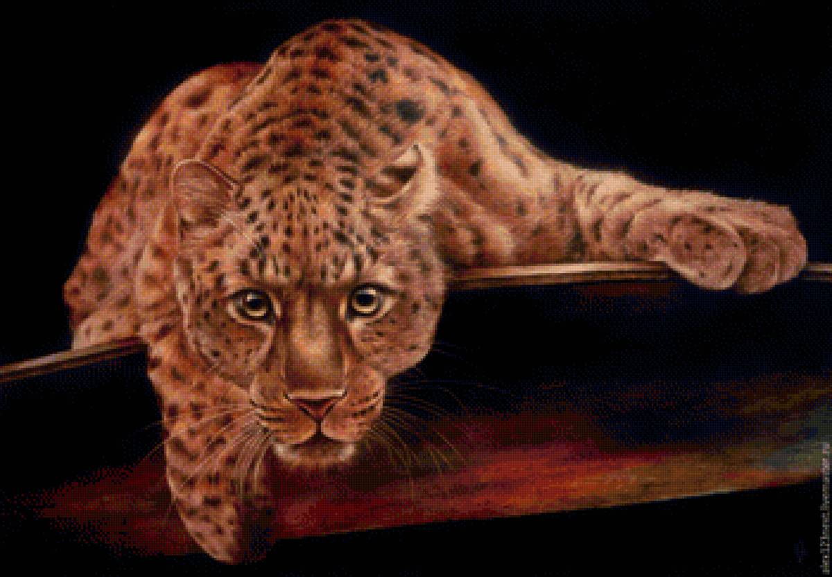 ягуар - животные, портрет, ягуар - предпросмотр