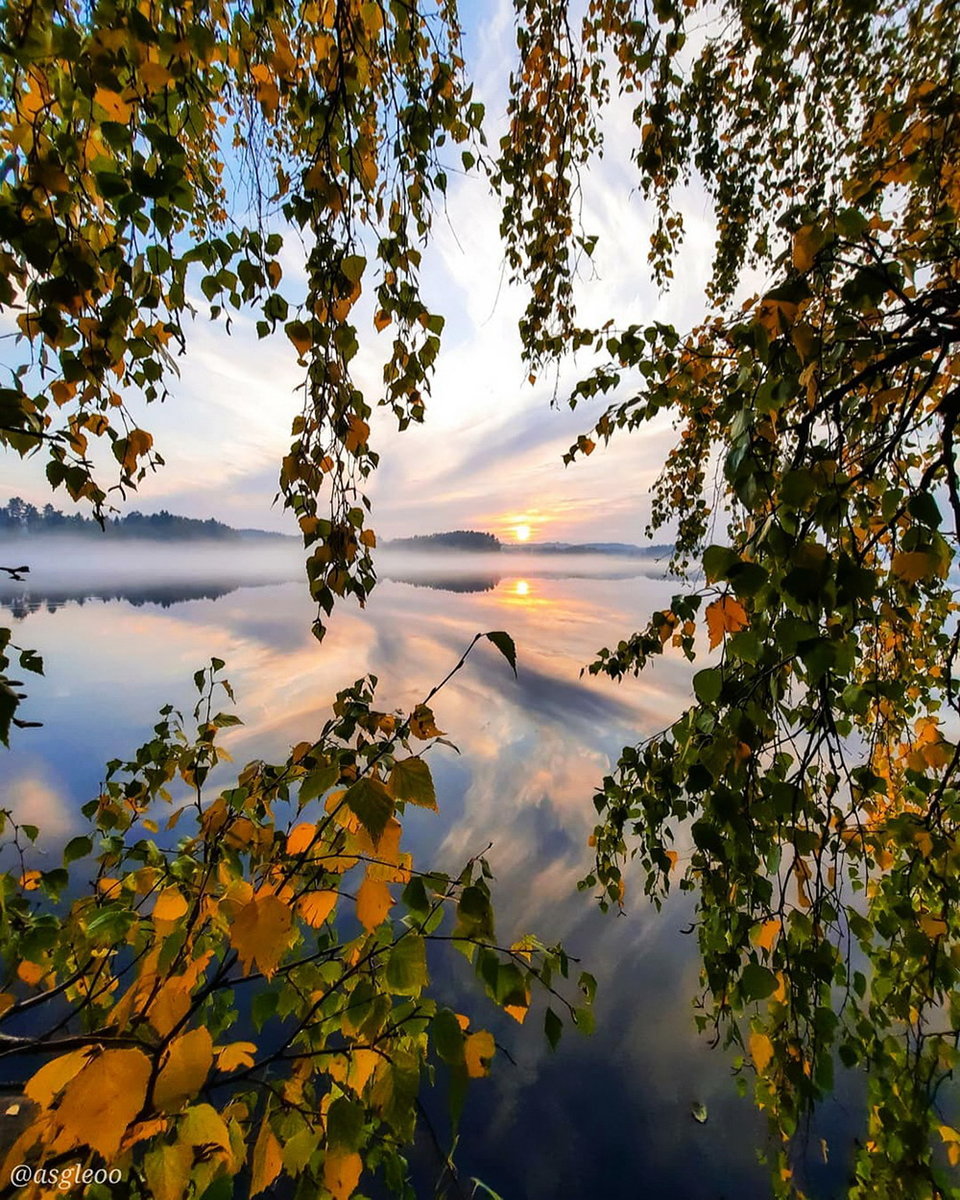 осеннее утро - рассвет, туман, деревья, утро, река, природа, осень - оригинал