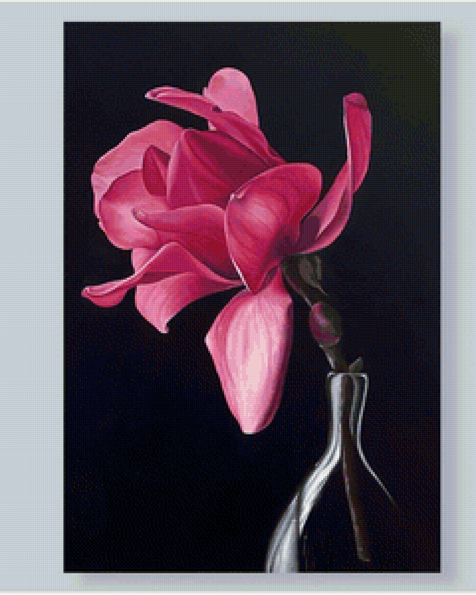 Цветок на черном фоне - предпросмотр