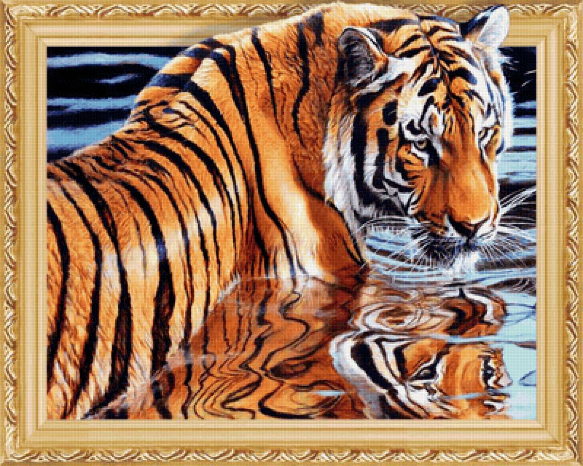 Серия "Хищники". Тигр - животные, тигр, хищники - предпросмотр