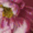 Предпросмотр схемы вышивки «цветы» (№2303746)