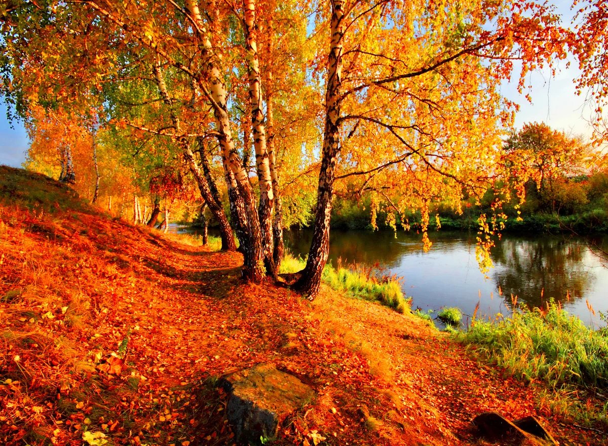 Осень - пейзаж, деревья, река, осень - оригинал