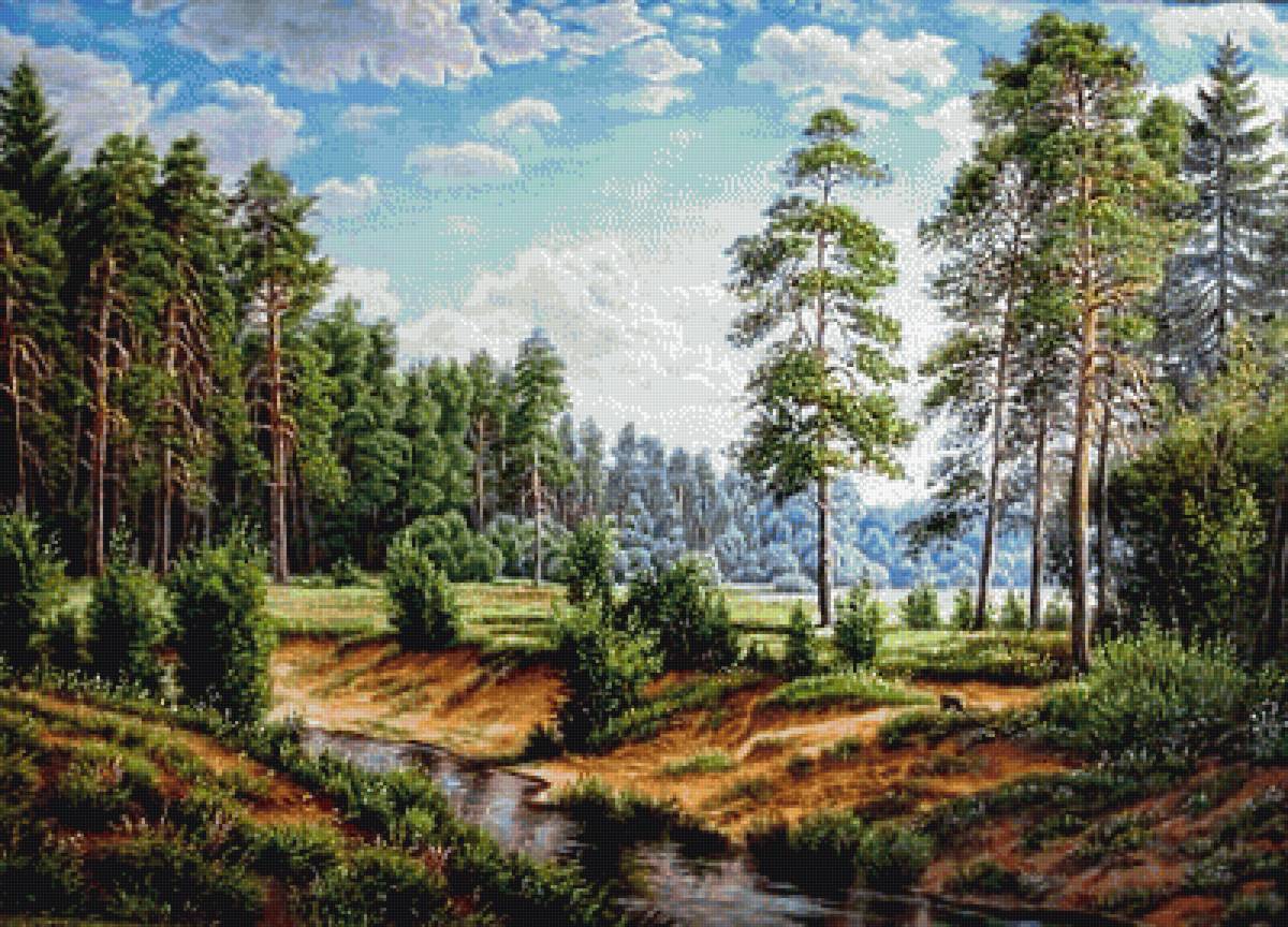 Речка в сосновом бору - природа, бор, речка, сосны, пейзаж - предпросмотр