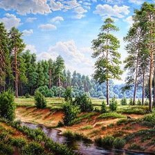 Речка в сосновом бору - бор, речка, лес, сосны, пейзаж - оригинал