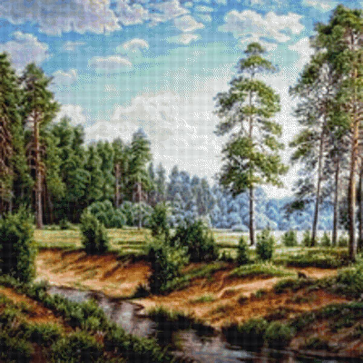 Речка в сосновом бору - сосны, лес, бор, речка, пейзаж - предпросмотр