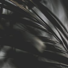 Схема вышивки «Черный лист»