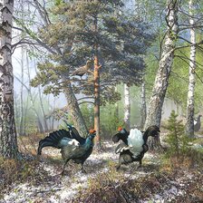 Схема вышивки «Тетеревиные гулянья»