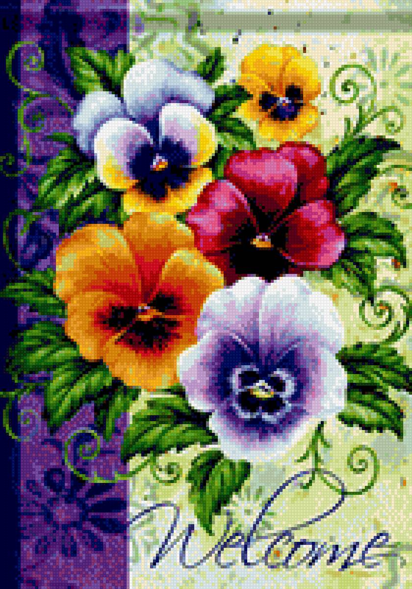 Анютины глазки - предпросмотр