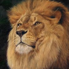 Схема вышивки «Царь зверей»