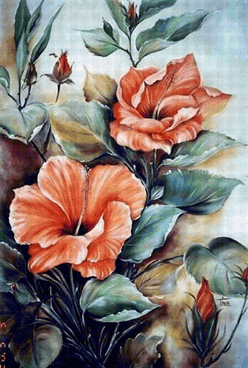 Гибискус - предпросмотр