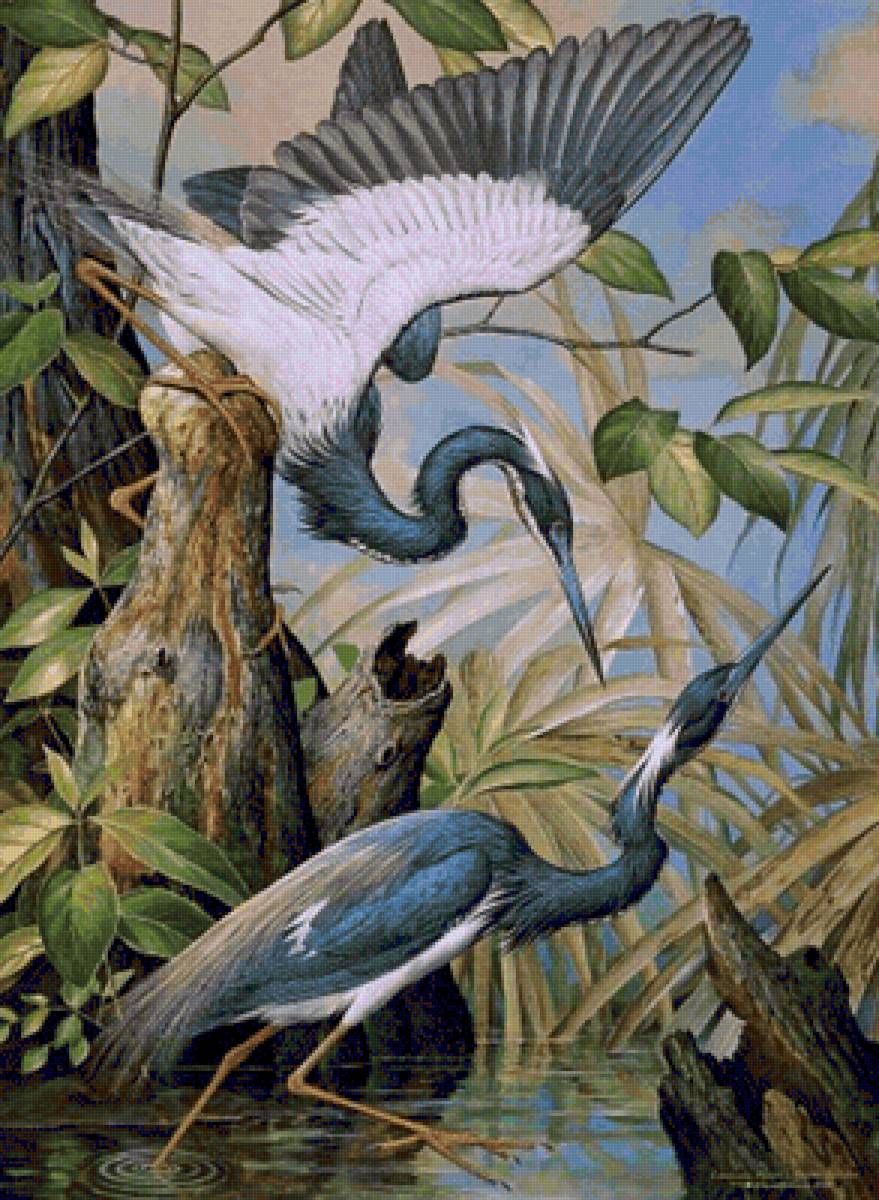 Laguna - paisaje - предпросмотр