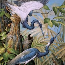 Схема вышивки «Laguna»