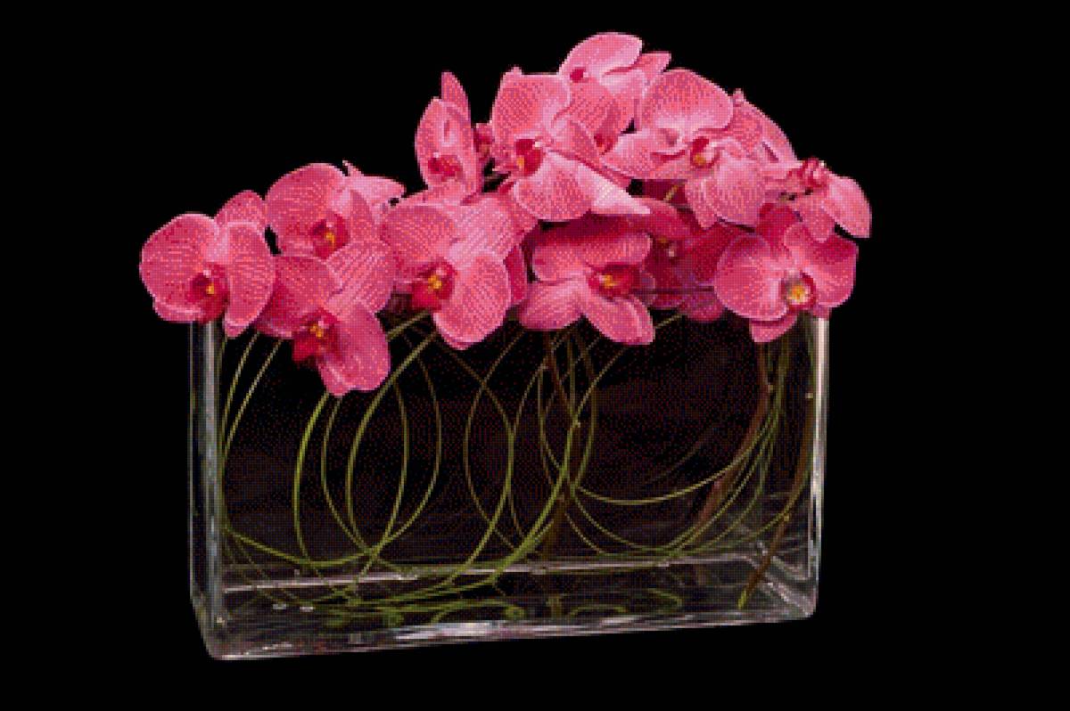 №2305382 - предпросмотр