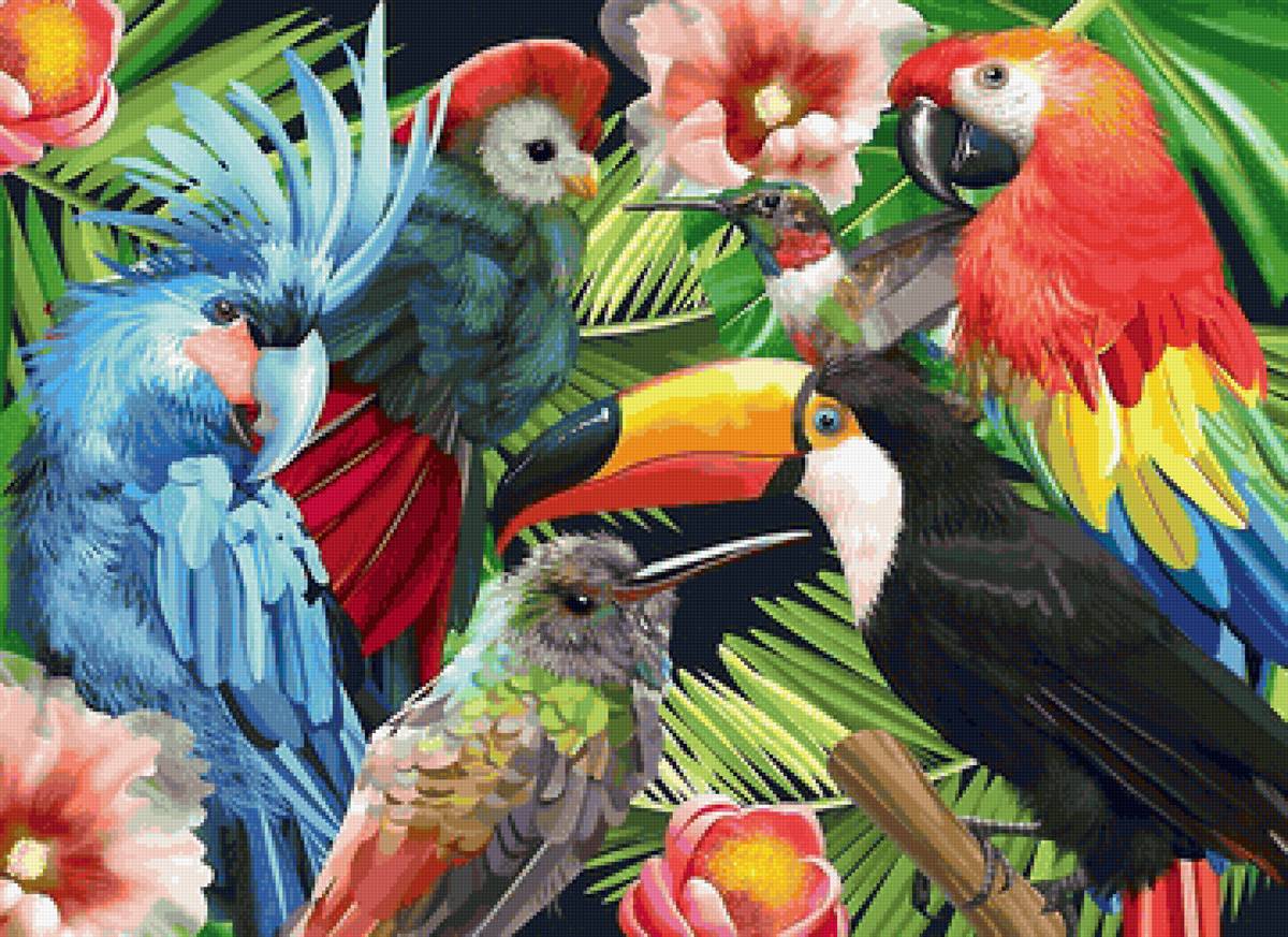 тропические птицы - птицы - предпросмотр