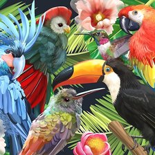Схема вышивки «тропические птицы»