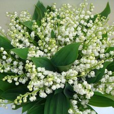 Схема вышивки «Ландыши»