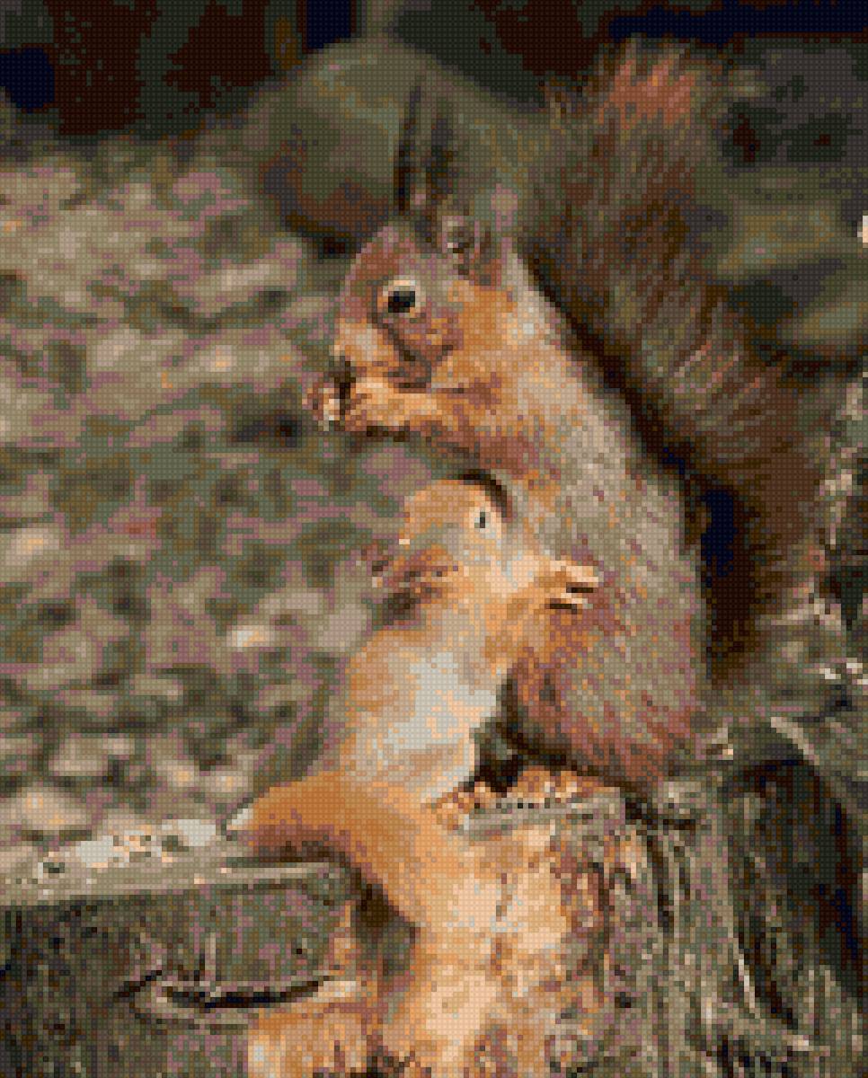 Белкин завтрак - животные - предпросмотр