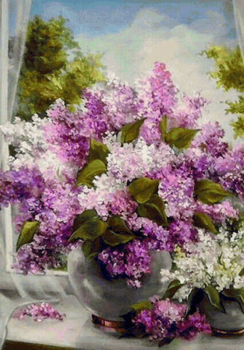 Сирень - предпросмотр