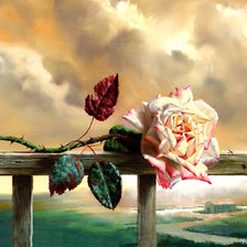 Схема вышивки «роза»