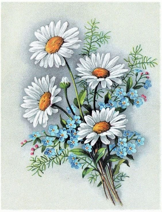 ромашки - ромашки, букет - оригинал
