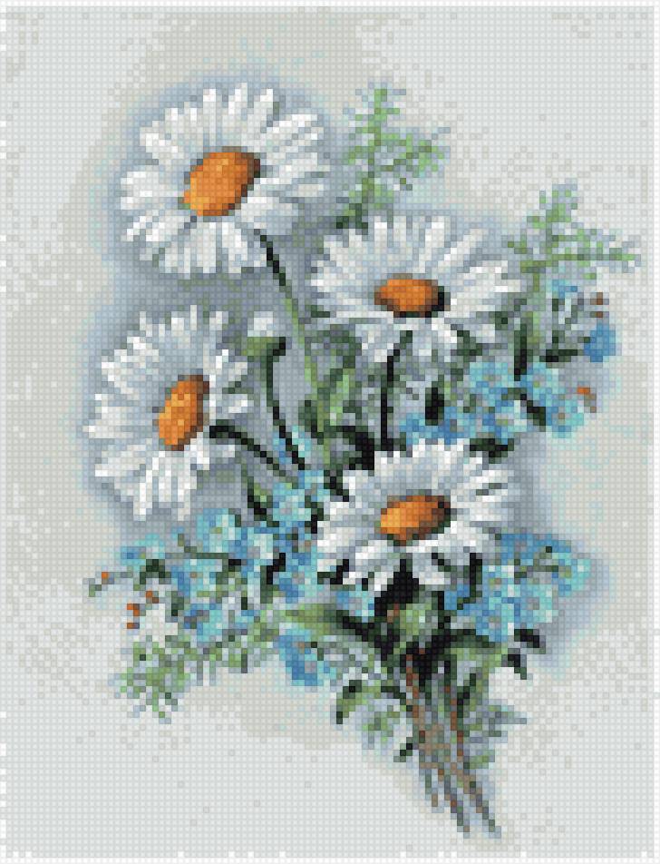 ромашки - букет, ромашки - предпросмотр