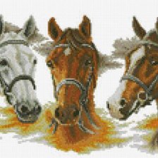 Оригинал схемы вышивки «Three Horses» (№2306063)