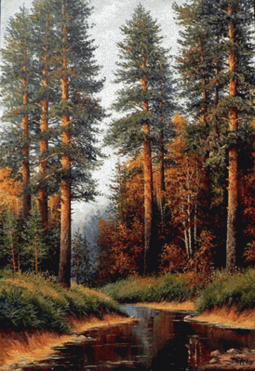 Лесная речка - сосны, небо, лес, лето, ручей, березы - предпросмотр