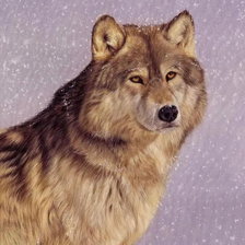 Схема вышивки «Волк»