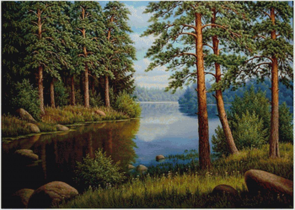 Родной край - сосны, бор, природа, пейзаж, речка - предпросмотр