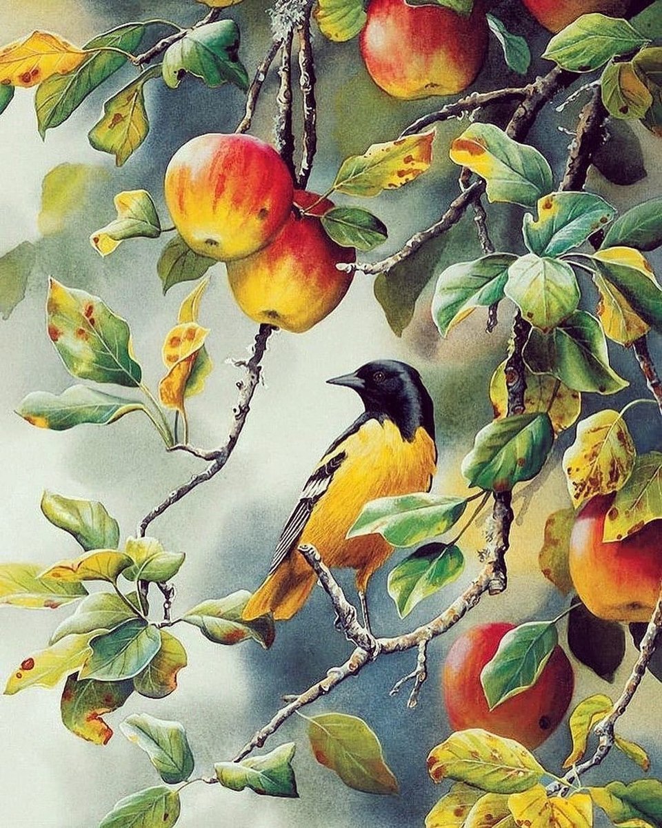 Лето - птицы, яблоки - оригинал