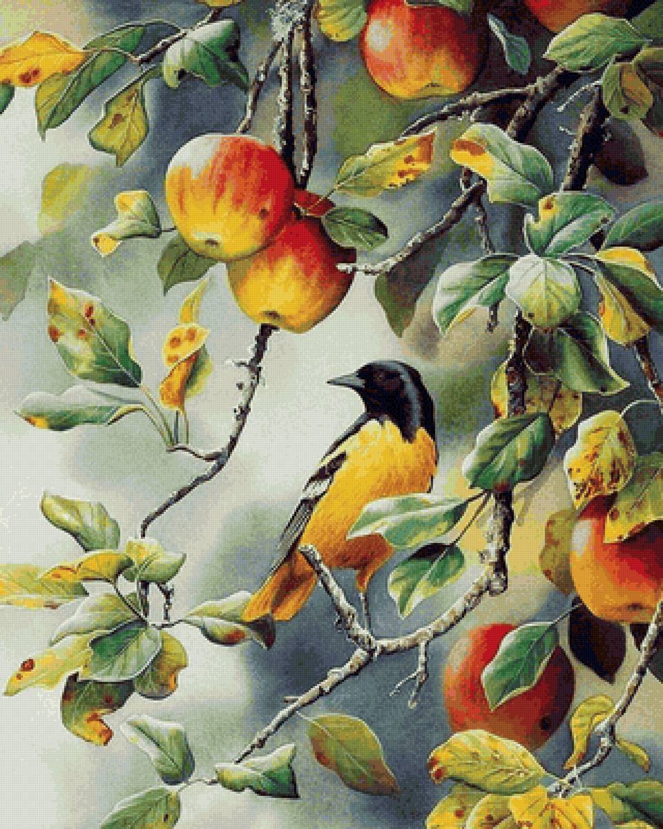 Лето - яблоки, птицы - предпросмотр