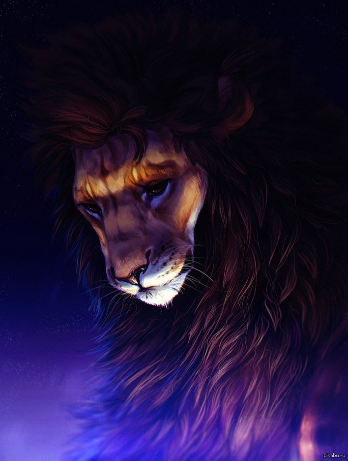 Ответ с неба - бог, спокойствие, лев, ночь, ответ - оригинал