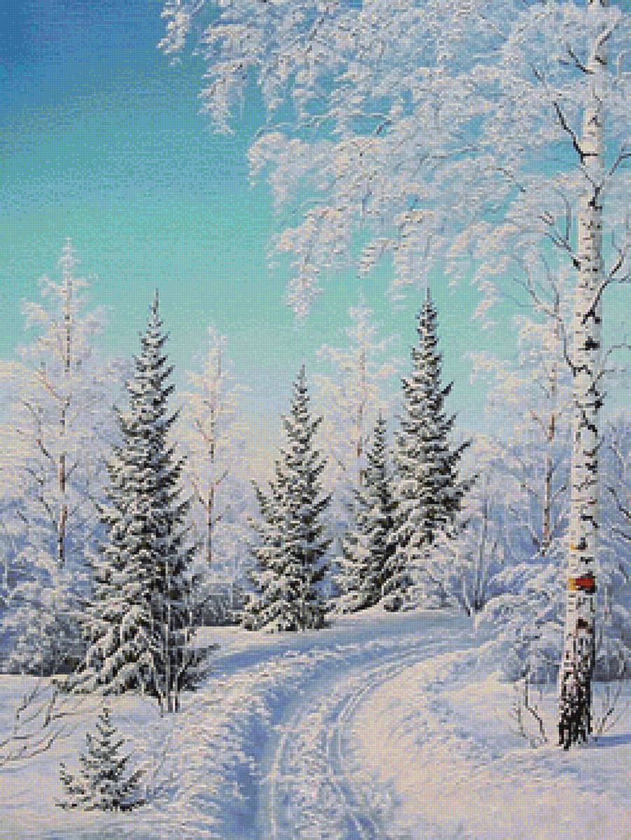 Зимняя сказка - ели, деревья, зима, сказка, лес - предпросмотр