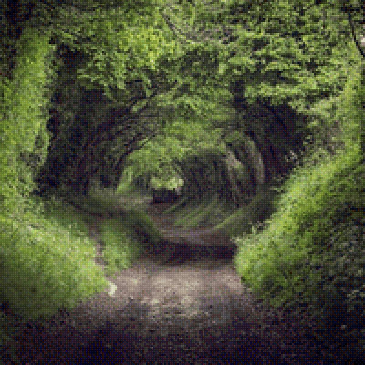 Дорога в лесу - лес, дорога - предпросмотр