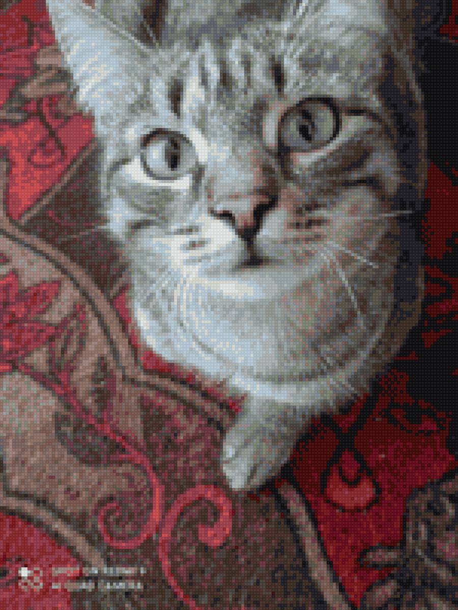 Котик - котик портрет - предпросмотр
