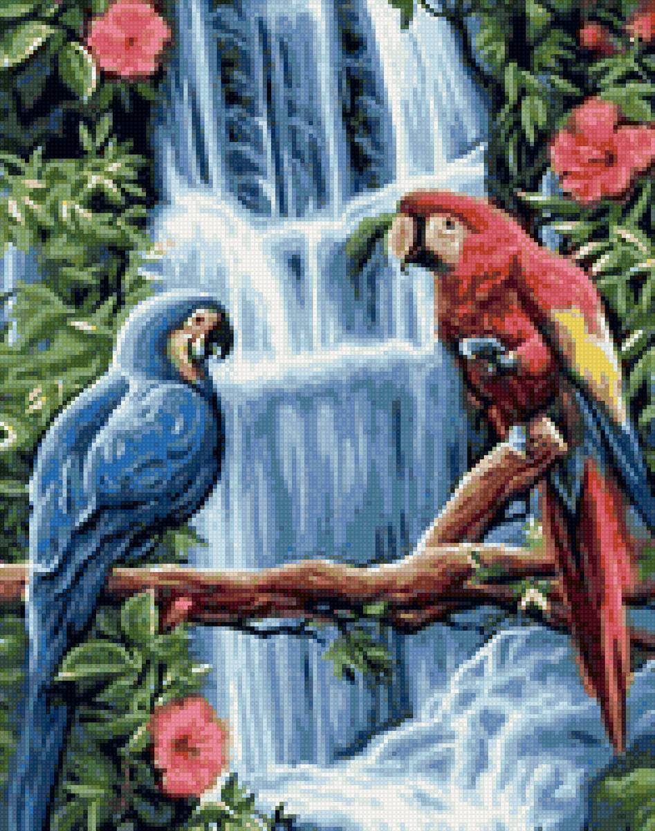 Попугаи - птички, попугаи - предпросмотр