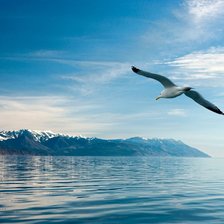 Схема вышивки «№2307589»