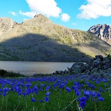 Схема вышивки «№2307598»