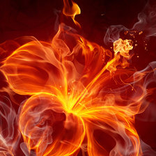 Схема вышивки «№2307647»