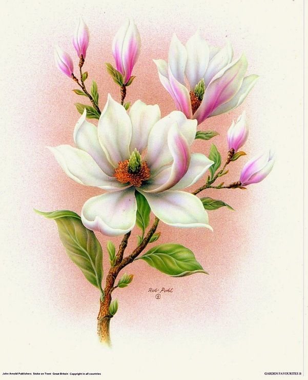 цветы - цветы - оригинал