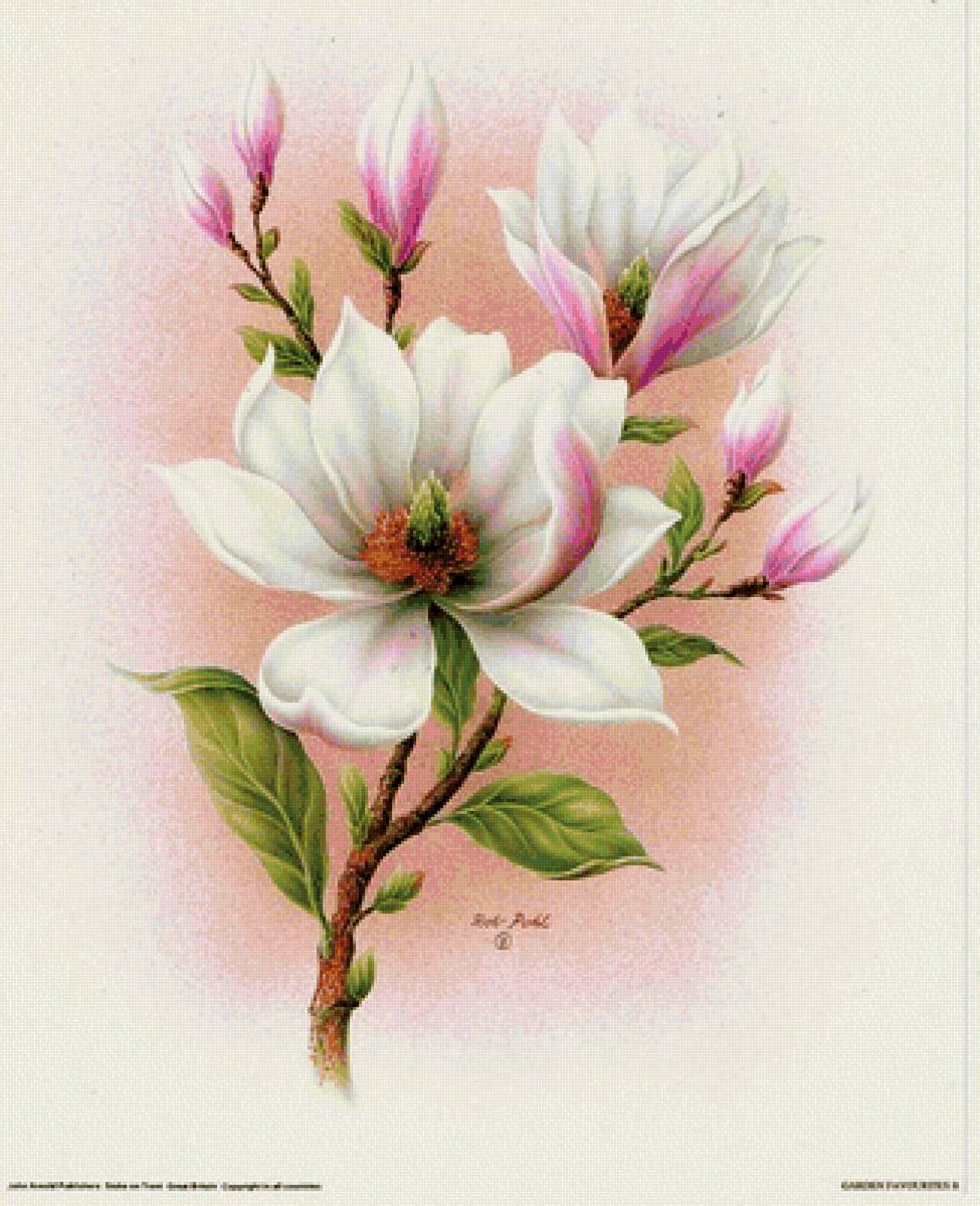 цветы - цветы - предпросмотр