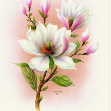Оригинал схемы вышивки «цветы» (№2307806)