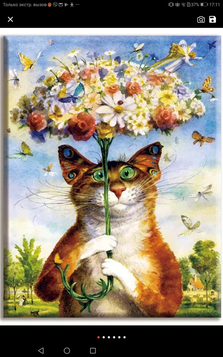 Кот под зонтом - кот, зонт - оригинал