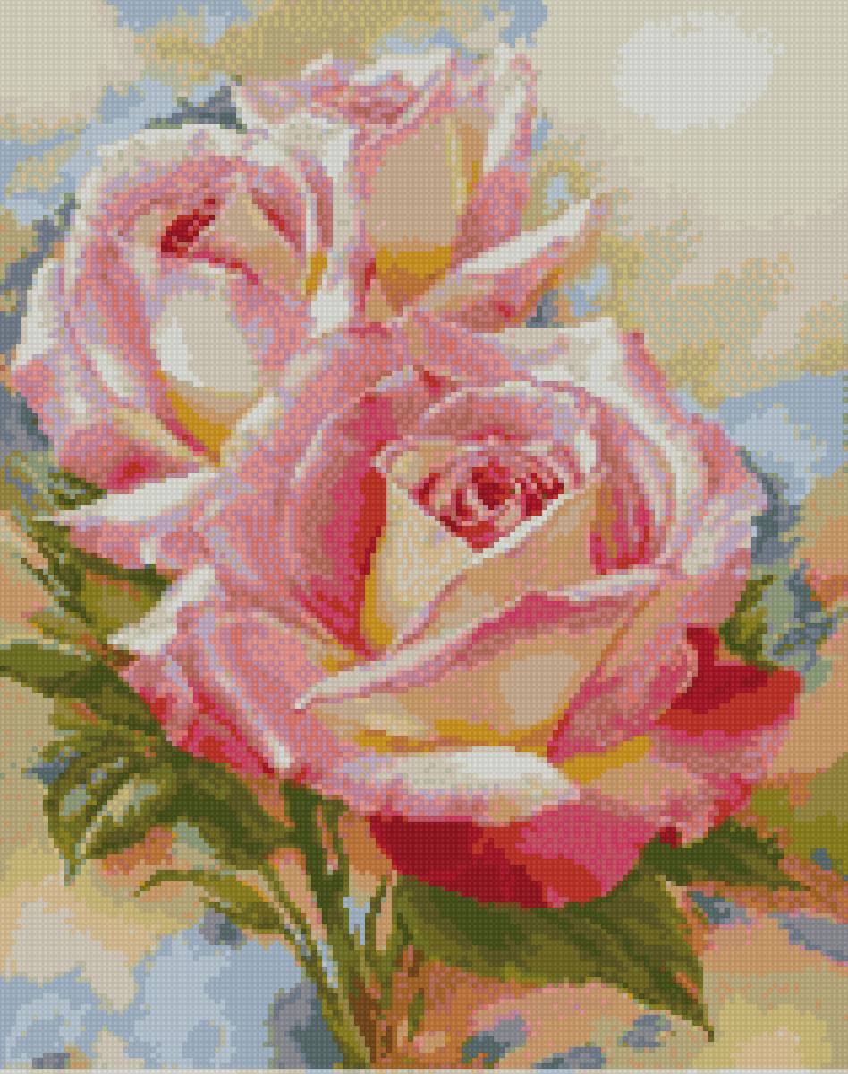 розы - розовые. акварель, розы - предпросмотр